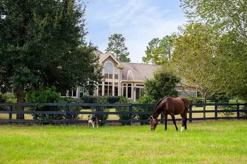 Other - 1029 Shell Bluff Dr, Aiken, SC 29803 photo 26 of 31