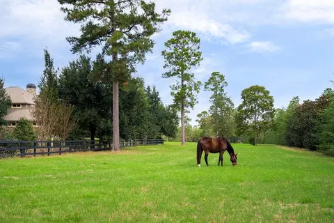 Other - 1029 Shell Bluff Dr, Aiken, SC 29803 photo 27 of 31