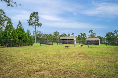 Exterior - 1029 Shell Bluff Dr, Aiken, SC 29803 photo 12 of 16