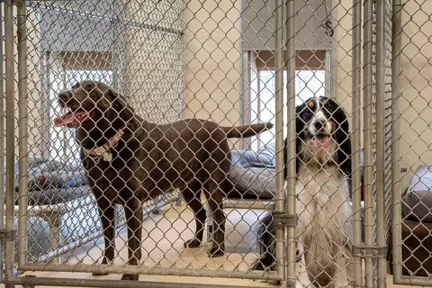 Other - 1029 Shell Bluff Dr, Aiken, SC 29803 photo 22 of 31
