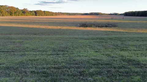 tbd Binnicker Bridge Rd, Cope, SC 29038