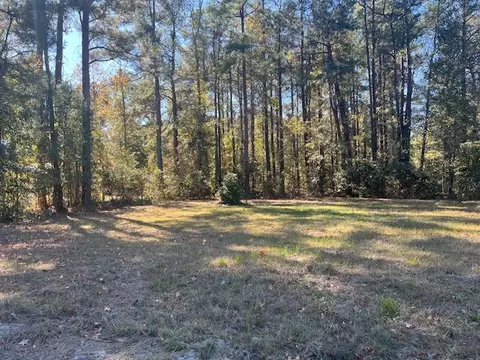 tbd Hwy 78, Williston, SC 29853 photo 2