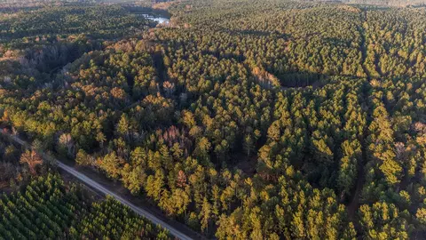 tbd Barr Chapel Rd, Edgefield, SC 29824
