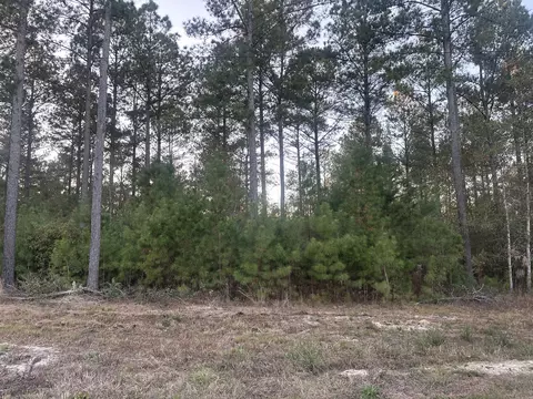 lot2 Blacks Rd, Williston, SC 29853