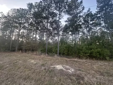 lot2 Blacks Rd, Williston, SC 29853 photo 2