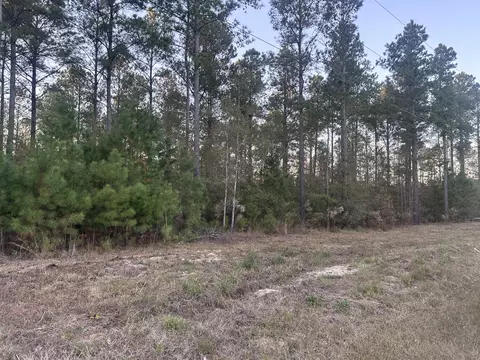 lot2 Blacks Rd, Williston, SC 29853 photo 3