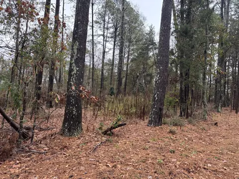 Undisclosed, Edgefield, SC 29824