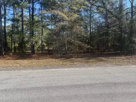 00 Fairway Dr, New Ellenton, SC 29809