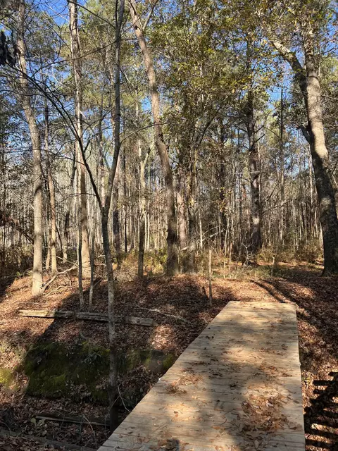 000 Trecer Rd, Cope, SC 29038 photo 5