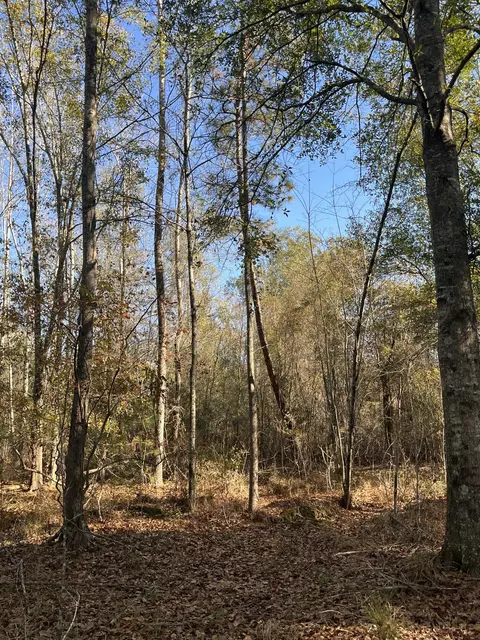 000 Trecer Rd, Cope, SC 29038 photo 4