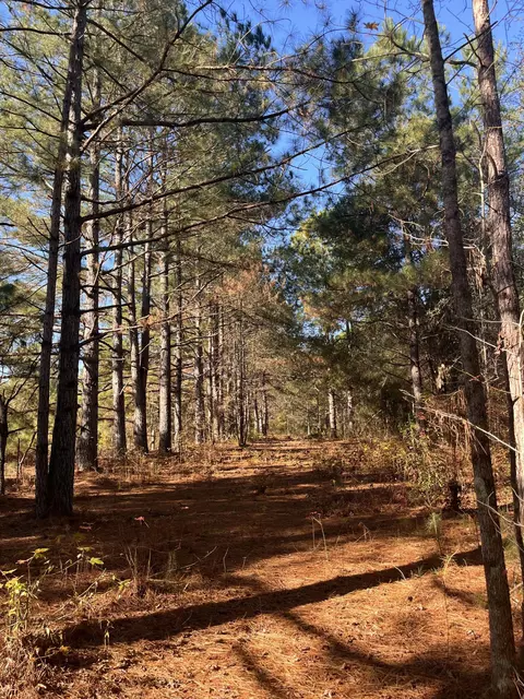 000 Trecer Rd, Cope, SC 29038 photo 8