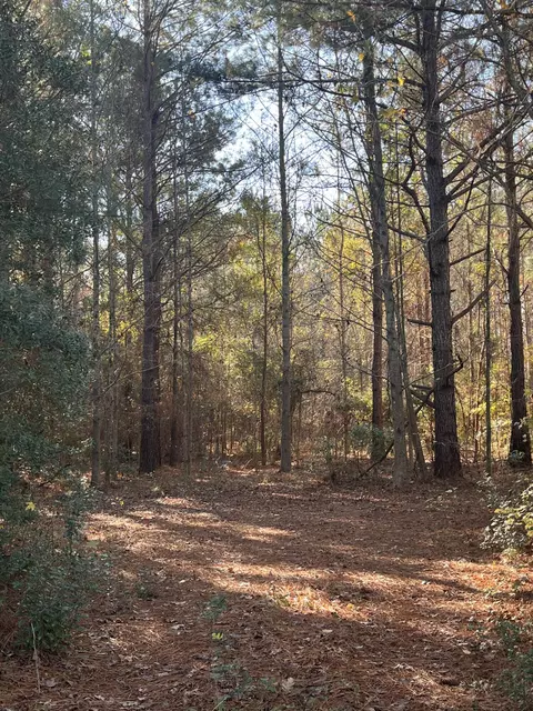 000 Trecer Rd, Cope, SC 29038 photo 3
