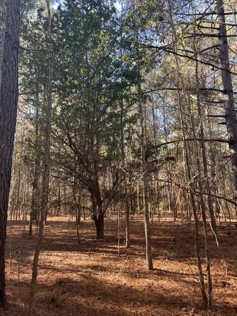000 Trecer Rd, Cope, SC 29038 photo 10