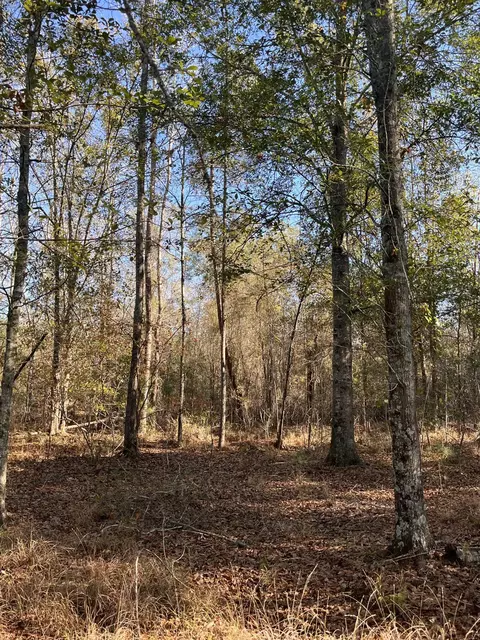 000 Trecer Rd, Cope, SC 29038