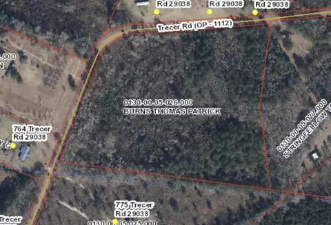 000 Trecer Rd, Cope, SC 29038 photo 2