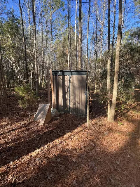 000 Trecer Rd, Cope, SC 29038 photo 6