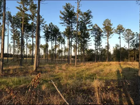 00 Lot 48 Snipes Pond Rd, Aiken, SC 29805