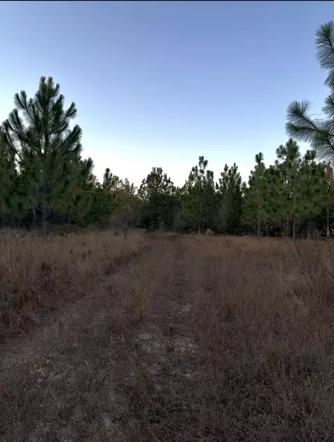 00 Lot 36 Ranchero Rd, Aiken, SC 29805