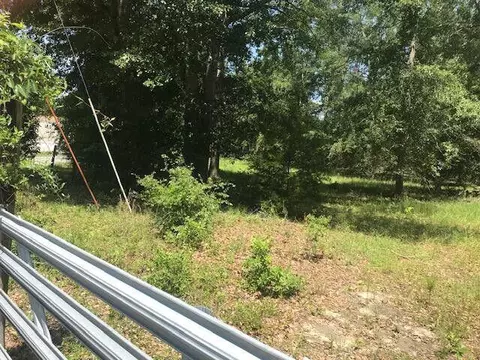 tbd Sappling Rd, Barnwell, SC 29812