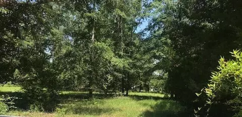 tbd Sappling Rd, Barnwell, SC 29812