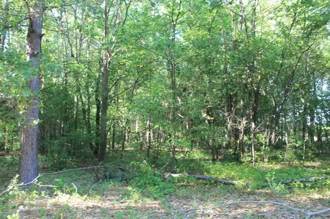 11 26 Ac Woodward Dr, Aiken, SC 29803