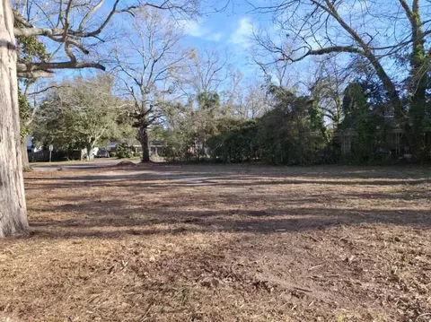 Exterior - 200 Dubose St, Ridge Spring, SC 29129 photo 6 of 10