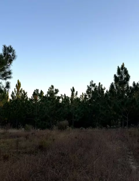 lot24 Snipes Pond, Aiken, SC 29805