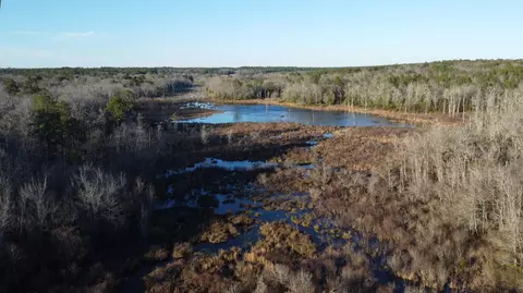 00 Millers Pond Rd, Wagener, SC 29164