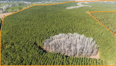 Piney Wood Pineywood Road, Saluda, SC 29138