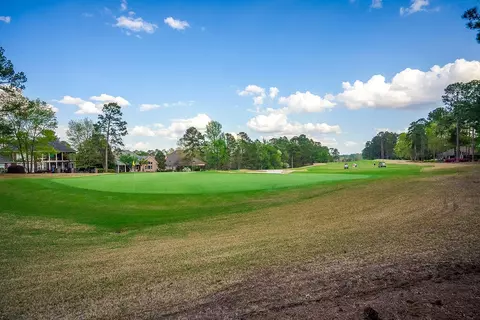 Exterior - 136 Pinyon Pine Loop, Aiken, SC 29803 photo 15 of 16