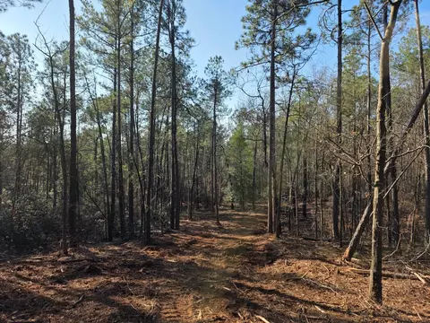 20 Atomic Ln # A, Beech Island, SC 29842
