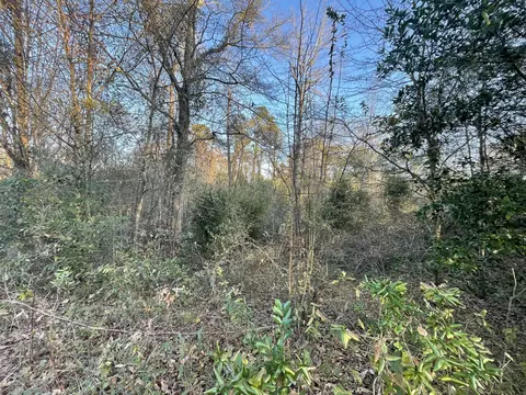 lot6 C Forest Cir, New Ellenton, SC 29809