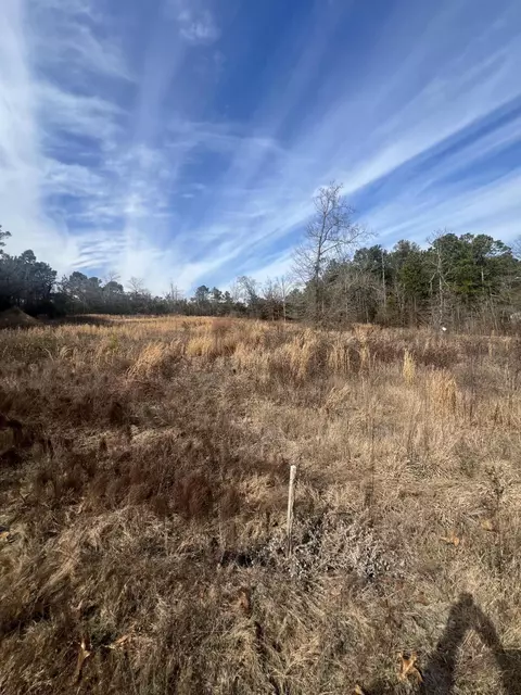 1650 Broad St, Batesburg-leesville, SC 29006