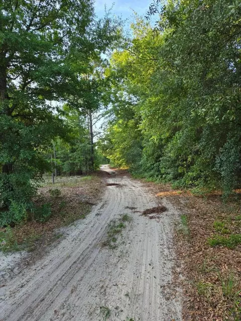 1327 Charlies Loop, Williston, SC 29853