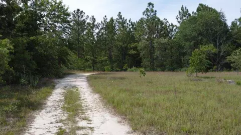 1327 Charlies Loop, Williston, SC 29853 photo 5