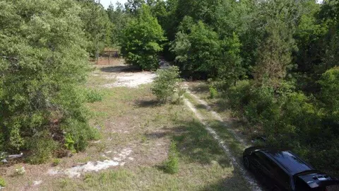 1327 Charlies Loop, Williston, SC 29853 photo 3