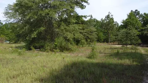 1327 Charlies Loop, Williston, SC 29853 photo 6