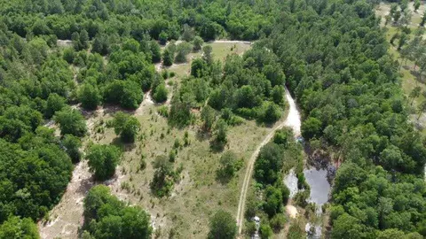 1327 Charlies Loop, Williston, SC 29853 photo 2
