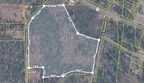 0 S Busbee South Dr, Wagener, SC 29164