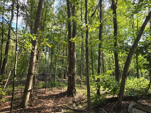 A Caprice Lane, Beech Island, SC 29842