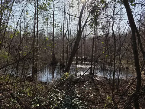 tbd 75 Ac Atomic Rd, Beech Island, SC 29842