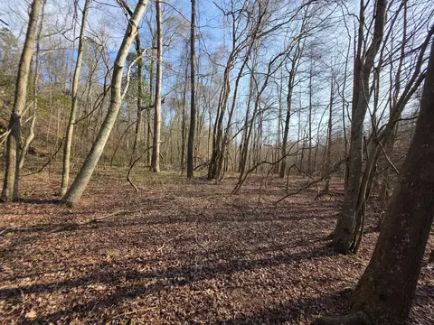 tbd 75 Ac Atomic Rd, Beech Island, SC 29842 photo 3