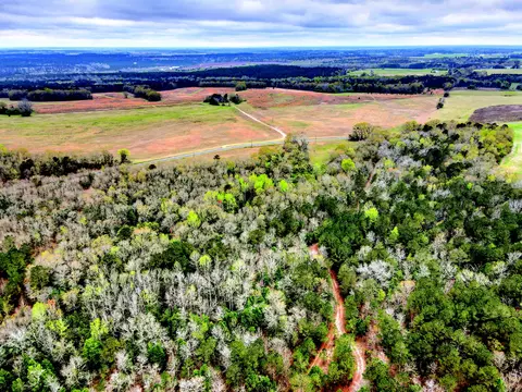 9 1 Ac Mile Bridge Way #9.1AC PARCEL, Johnston, SC 29832