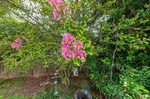 Other - 3320 Quaker Spring Ct, Augusta, GA 30907 photo 17 of 18