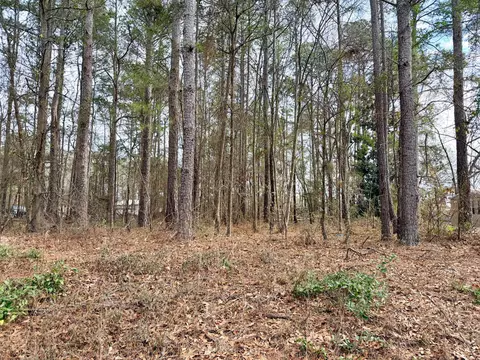 00 Vanest Rd, Ridge Spring, SC 29129 photo 3