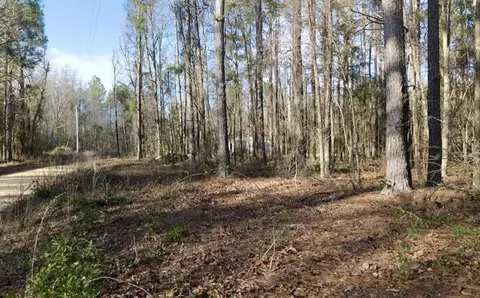 00 Vanest Rd, Ridge Spring, SC 29129 photo 7