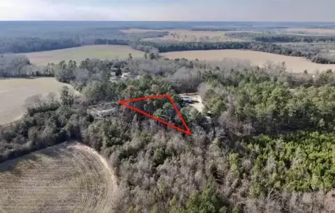 00 Vanest Rd, Ridge Spring, SC 29129 photo 2