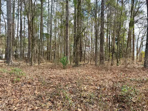 00 Vanest Rd, Ridge Spring, SC 29129 photo 4
