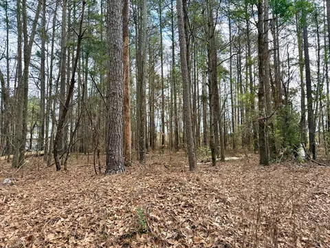 00 Vanest Rd, Ridge Spring, SC 29129 photo 6