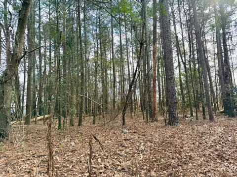 00 Vanest Rd, Ridge Spring, SC 29129 photo 5